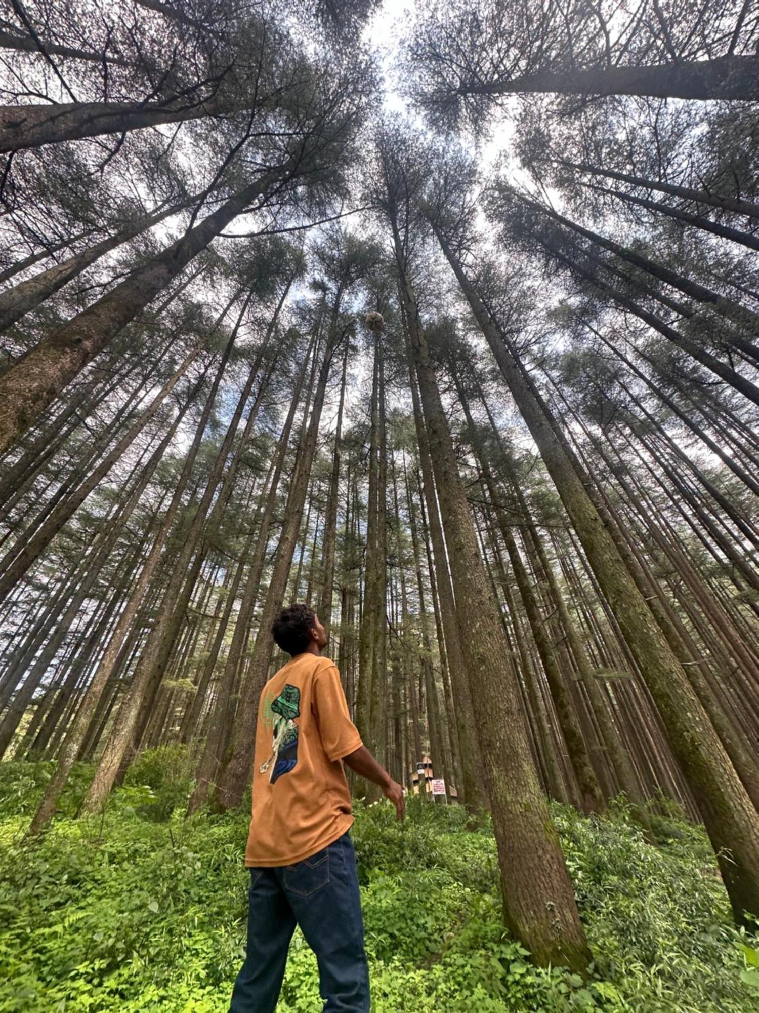 Deodar Village Homestay Devalsari มัสซูรี ภายนอก รูปภาพ