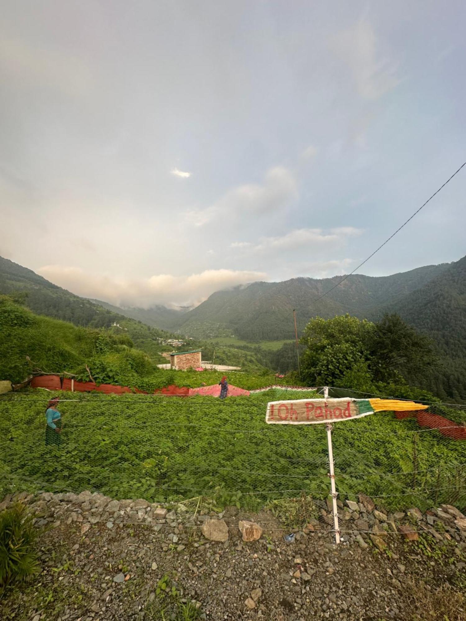 Deodar Village Homestay Devalsari มัสซูรี ภายนอก รูปภาพ